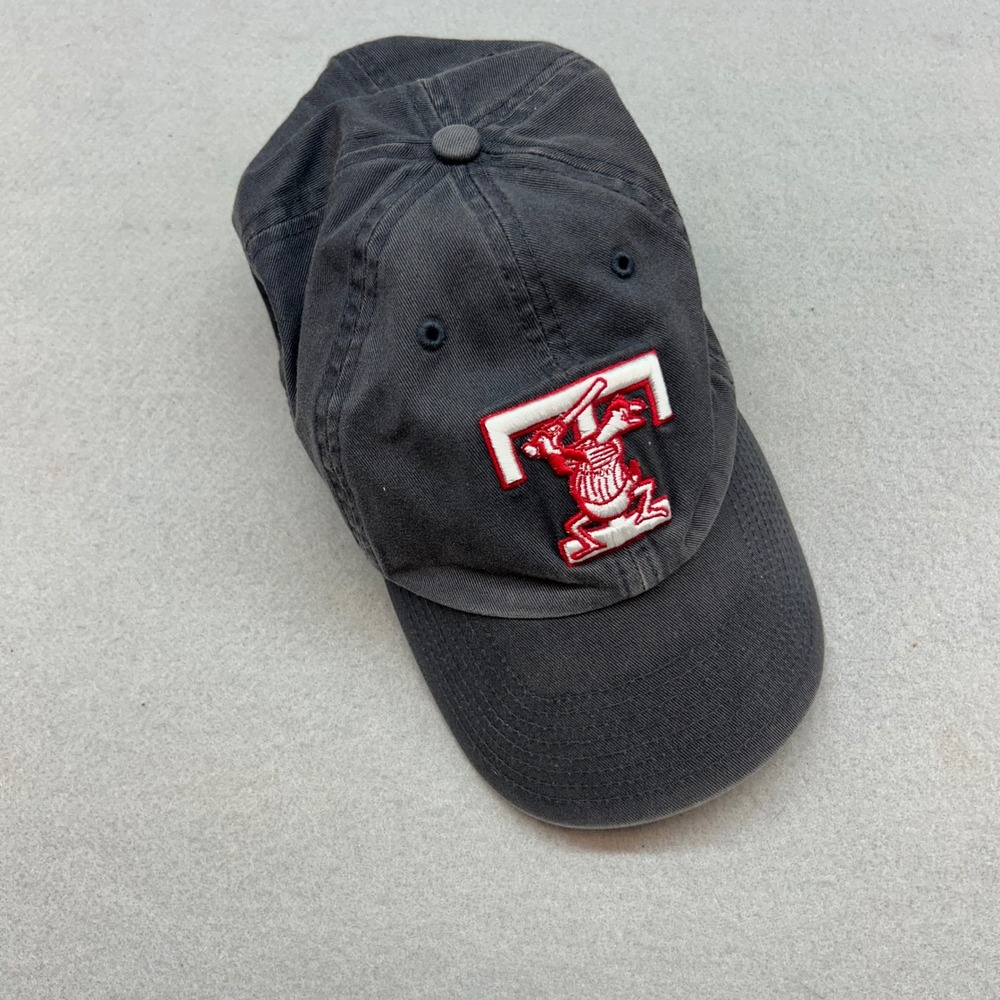 47 Twins Toledo Mud Hens Baseball Hat Mens Large Gray MiLB Minor League Cap